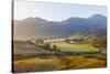 England, Cumbria, Lake District, The Langdales-Steve Vidler-Stretched Canvas