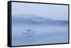 England, Cumbria, Lake District, Windermere, Ambleside-Steve Vidler-Framed Stretched Canvas