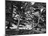 England, Derwentwater-null-Mounted Photographic Print