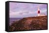 England, Dorset, Weymouth, Portland Bill Liighthouse-Steve Vidler-Framed Stretched Canvas