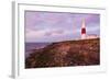 England, Dorset, Weymouth, Portland Bill Liighthouse-Steve Vidler-Framed Photographic Print