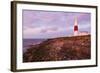 England, Dorset, Weymouth, Portland Bill Liighthouse-Steve Vidler-Framed Photographic Print