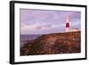 England, Dorset, Weymouth, Portland Bill Liighthouse-Steve Vidler-Framed Photographic Print