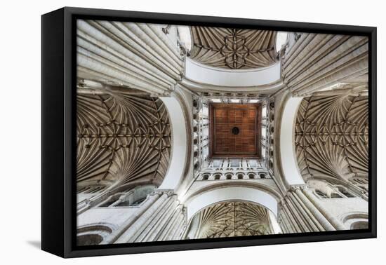 England, East Anglia, Norfolk, Norwich, Norwich Cathedral-Steve Vidler-Framed Stretched Canvas