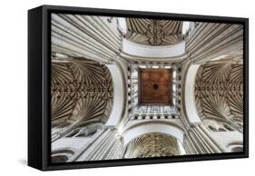 England, East Anglia, Norfolk, Norwich, Norwich Cathedral-Steve Vidler-Framed Stretched Canvas