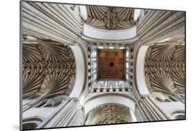 England, East Anglia, Norfolk, Norwich, Norwich Cathedral-Steve Vidler-Mounted Photographic Print