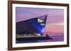 England, East Yorkshire, Kingston upon Hull, The Deep-Steve Vidler-Framed Photographic Print