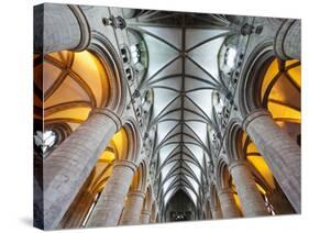 England, Gloucestershire, Gloucester, Gloucester Cathedral-Steve Vidler-Stretched Canvas