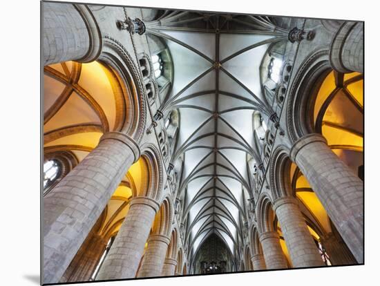 England, Gloucestershire, Gloucester, Gloucester Cathedral-Steve Vidler-Mounted Photographic Print