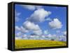England, Hampshire, Rape Fields and Clouds-Steve Vidler-Framed Stretched Canvas