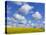 England, Hampshire, Rape Fields and Clouds-Steve Vidler-Stretched Canvas