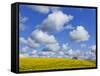 England, Hampshire, Rape Fields and Clouds-Steve Vidler-Framed Stretched Canvas