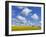 England, Hampshire, Rape Fields and Clouds-Steve Vidler-Framed Photographic Print