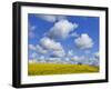 England, Hampshire, Rape Fields and Clouds-Steve Vidler-Framed Photographic Print