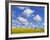england-hampshire-rape-fields-and-clouds-photographic-print-steve