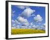 England, Hampshire, Rape Fields and Clouds-Steve Vidler-Framed Photographic Print