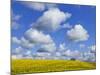 England, Hampshire, Rape Fields and Clouds-Steve Vidler-Mounted Photographic Print