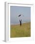 England, Isle of Wight; Boy Flying a Kite on the Downs Near Compton Bay in Southwest of the Island-Will Gray-Framed Photographic Print