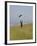 England, Isle of Wight; Boy Flying a Kite on the Downs Near Compton Bay in Southwest of the Island-Will Gray-Framed Photographic Print