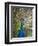 England, Kent, Wingham, Peacock Displaying at Wingham Wildlife Park-Katie Garrod-Framed Premium Photographic Print