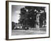 England, Lingfield-null-Framed Photographic Print