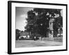 England, Lingfield-null-Framed Photographic Print