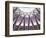 England, London, Kings Cross Train Station-Steve Vidler-Framed Photographic Print