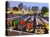 England, London, Little Venice, Canal Boats-Steve Vidler-Stretched Canvas