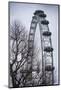 England, London, London Eye, Morning-Walter Bibikow-Mounted Photographic Print