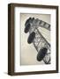 England, London, London Eye, Morning-Walter Bibikow-Framed Photographic Print