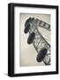 England, London, London Eye, Morning-Walter Bibikow-Framed Photographic Print