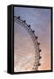 England, London, London Eye, Sunrise-Walter Bibikow-Framed Stretched Canvas