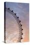 England, London, London Eye, Sunrise-Walter Bibikow-Stretched Canvas