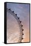 England, London, London Eye, Sunrise-Walter Bibikow-Framed Stretched Canvas
