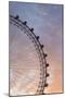 England, London, London Eye, Sunrise-Walter Bibikow-Mounted Premium Photographic Print