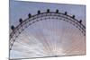 England, London, London Eye, Sunrise-Walter Bibikow-Mounted Photographic Print