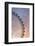 England, London, London Eye, Sunrise-Walter Bibikow-Framed Photographic Print