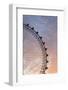 England, London, London Eye, Sunrise-Walter Bibikow-Framed Photographic Print