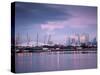 England, London, Royal Victoria Docks, O2 Arena and Canary Wharf-Jane Sweeney-Stretched Canvas