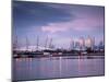 England, London, Royal Victoria Docks, O2 Arena and Canary Wharf-Jane Sweeney-Mounted Photographic Print