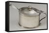 England, London, Silver Mustard Jar, 1792-null-Framed Stretched Canvas