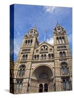 England, London, South Kensington. the Natural History Museum Exterior-Pamela Amedzro-Stretched Canvas