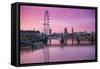 England, London, Southbank, the London Eye, Sunrise-Walter Bibikow-Framed Stretched Canvas