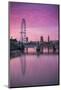 England, London, Southbank, the London Eye, Sunrise-Walter Bibikow-Mounted Photographic Print