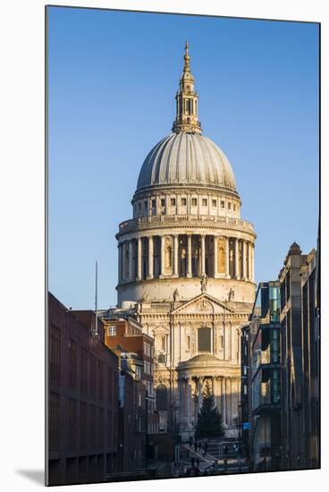 England, London, St. Pauls Cathedral, Dawn-Walter Bibikow-Mounted Photographic Print