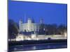 England, London, Tower of London-Steve Vidler-Mounted Photographic Print