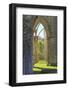 England, North Yorkshire, Rievaulx. Ruins of Rievaulx Abbey.-Emily Wilson-Framed Photographic Print