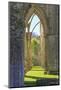 England, North Yorkshire, Rievaulx. Ruins of Rievaulx Abbey.-Emily Wilson-Mounted Photographic Print