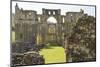 England, North Yorkshire, Rievaulx. Ruins of Rievaulx Abbey.-Emily Wilson-Mounted Photographic Print