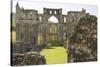 England, North Yorkshire, Rievaulx. Ruins of Rievaulx Abbey.-Emily Wilson-Stretched Canvas